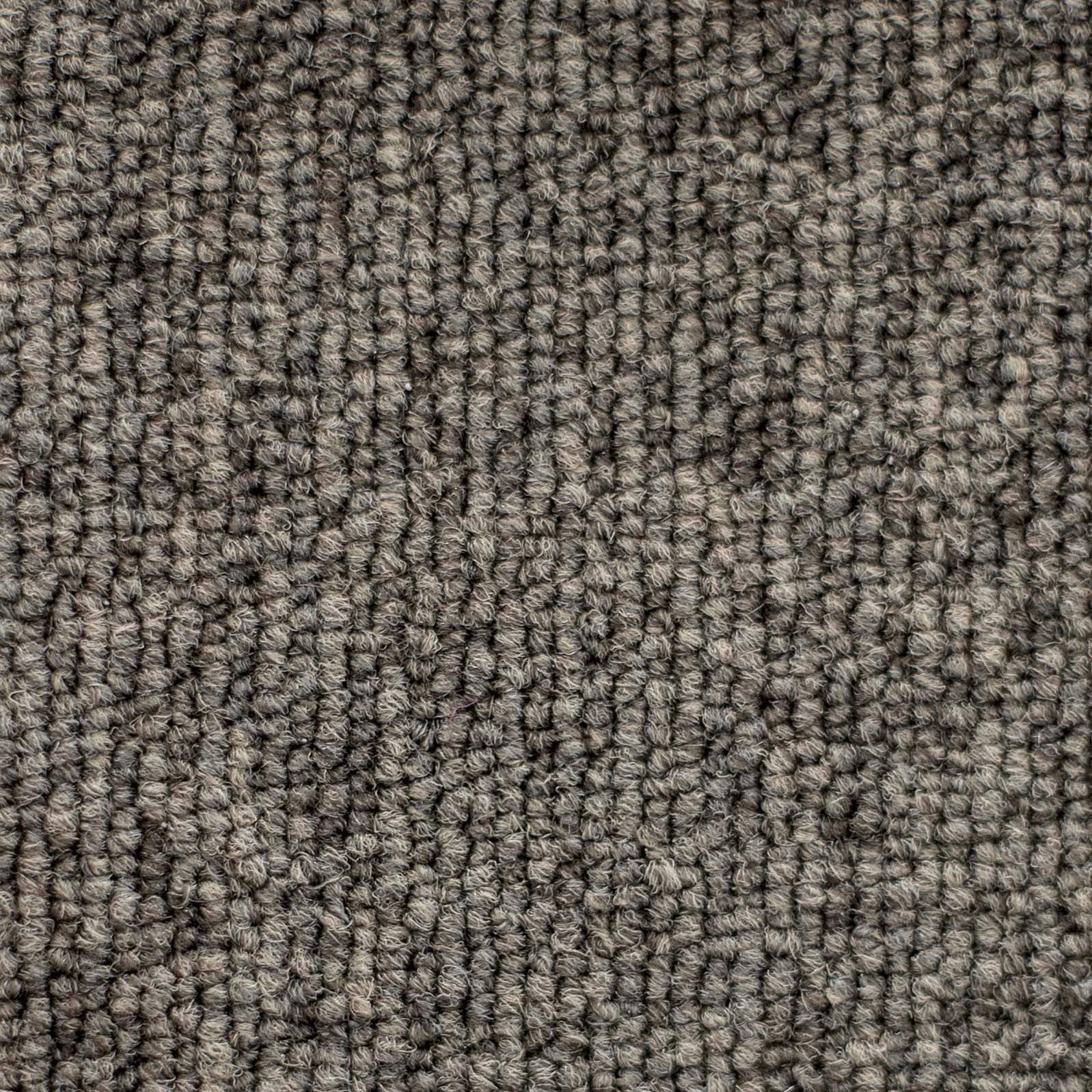 Ковролин "Зартекс" Daily 68 коричневый (4м) — купить в Омске