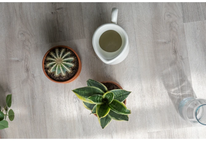 SPC ламинат Дуб Ален (1220*181*3,7 мм) — купить в Омске