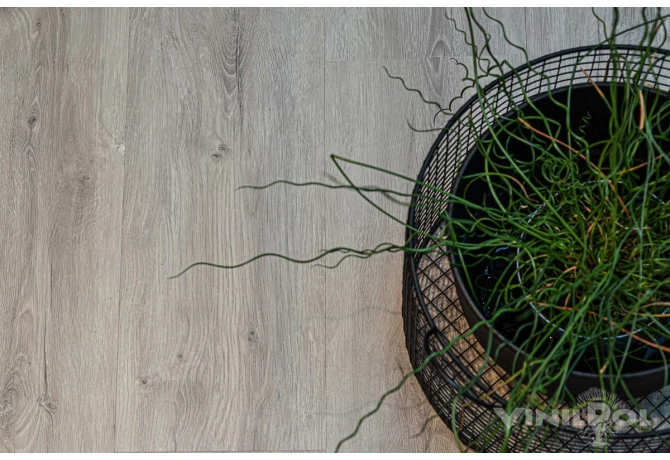 SPC ламинат Дуб Неаполь (1220*228*5 мм) — купить в Омске