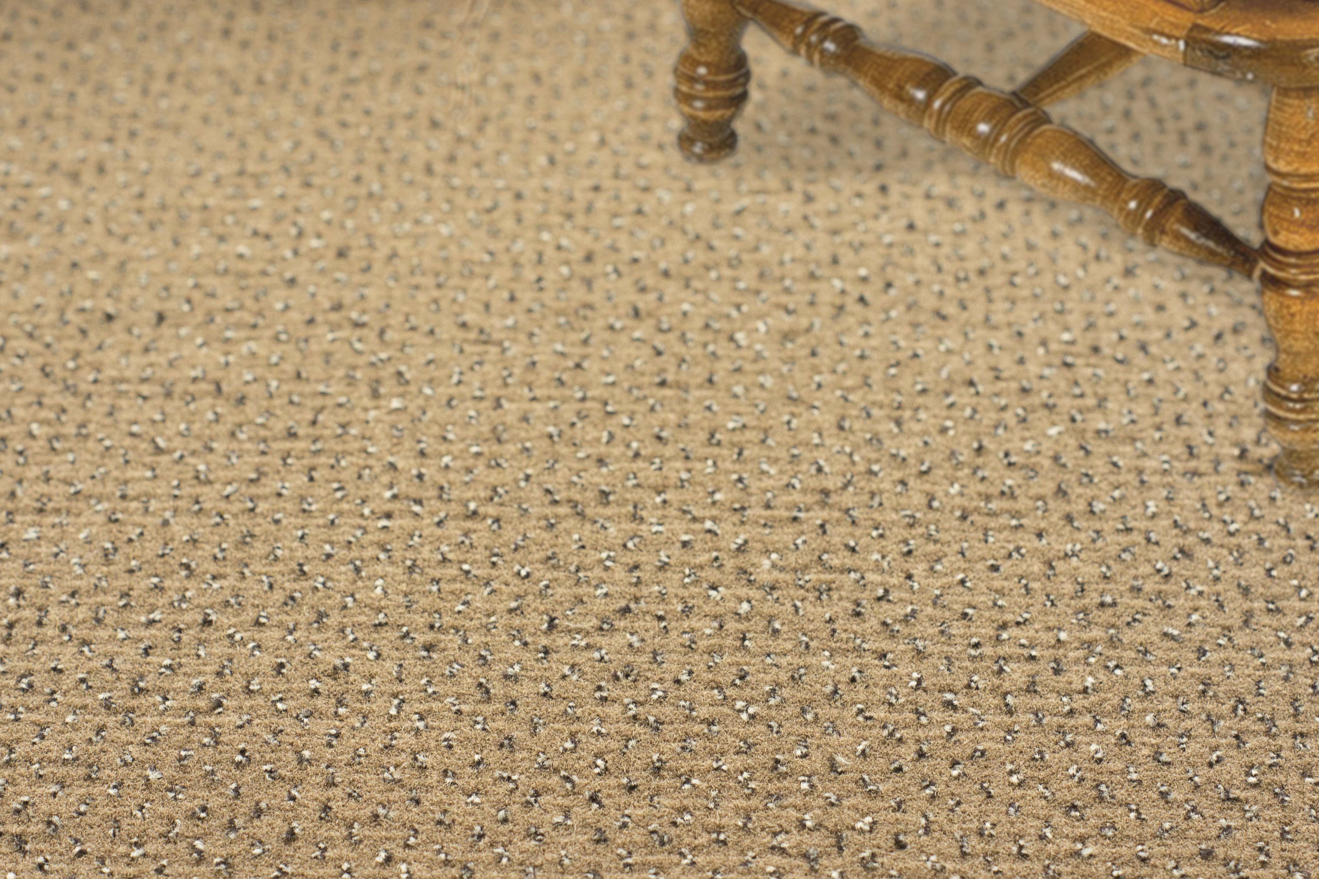 Ковролин "Зартекс" Eternity 142 бежевый (4м) — купить в Омске