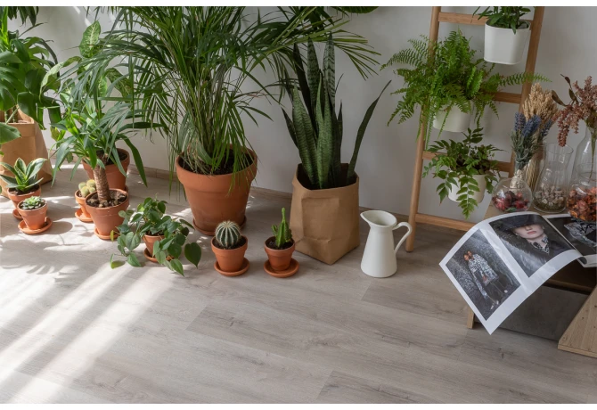 SPC ламинат Дуб Ален (1220*181*3,7 мм) — купить в Омске